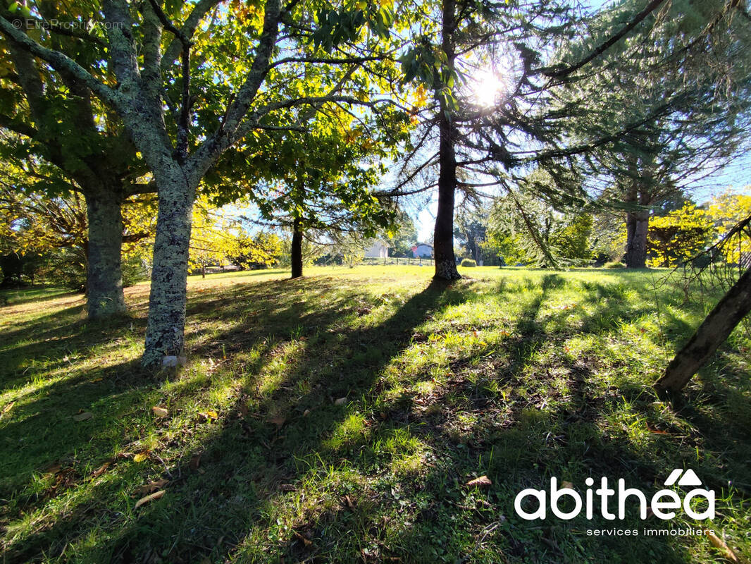 Terrain à SAINT-CIERS-D&#039;ABZAC