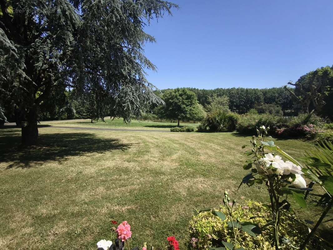 Maison d’Architecte avec Piscine Intérieure et Parc Privé de 6 Hectares - photo 5