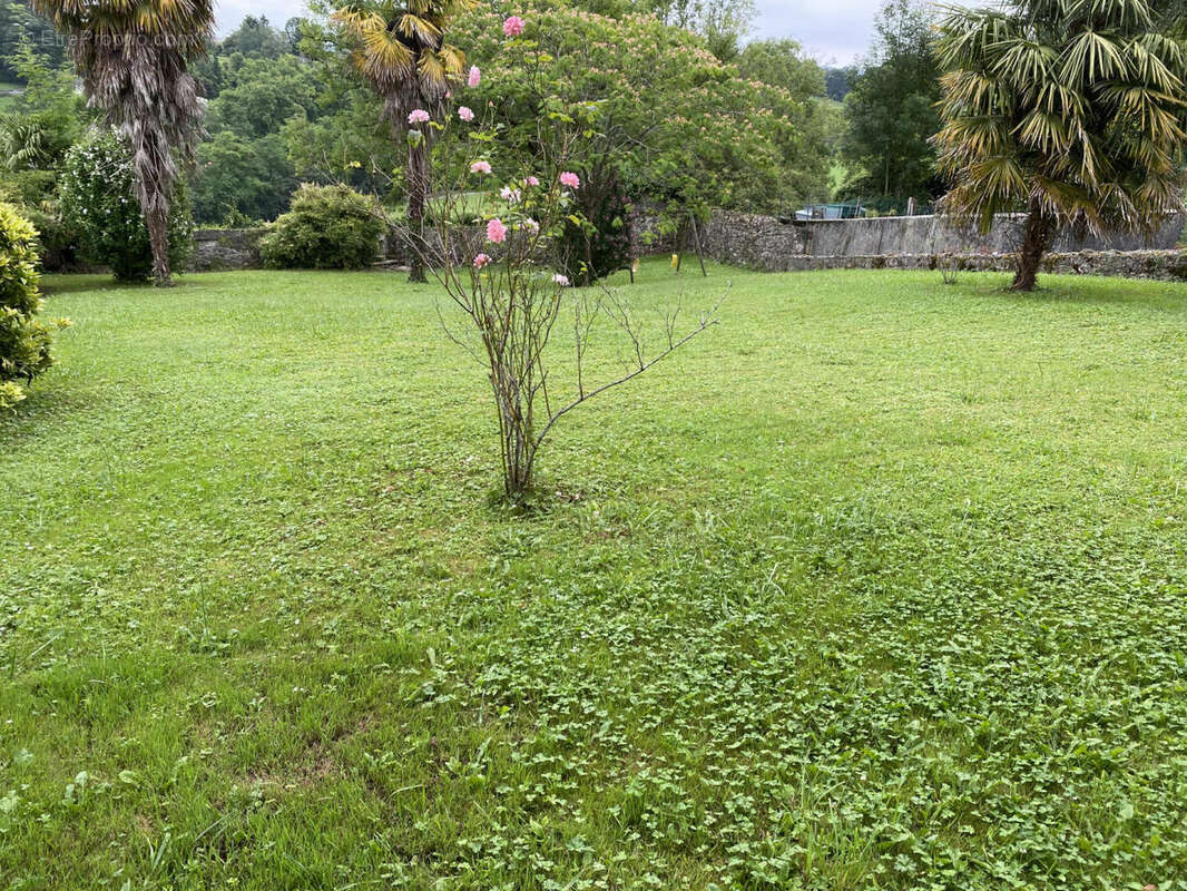 IMG_0749 - Maison à OLORON-SAINTE-MARIE