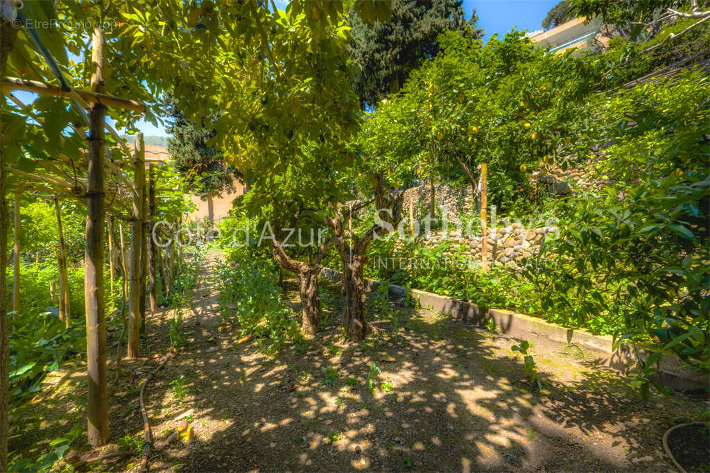 Villa historique, vue panoramique Monaco, jardin luxuriant à Roquebrune-Cap-Martin - photo 6