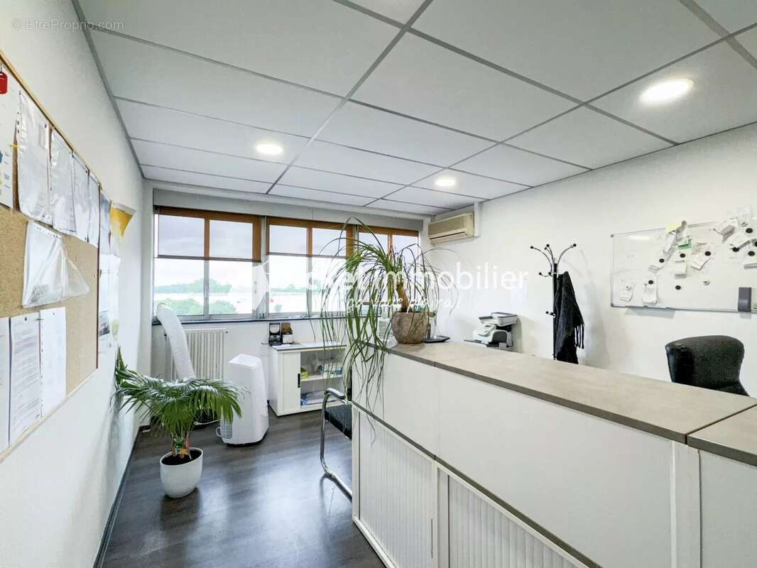 Commerce à TOULOUSE