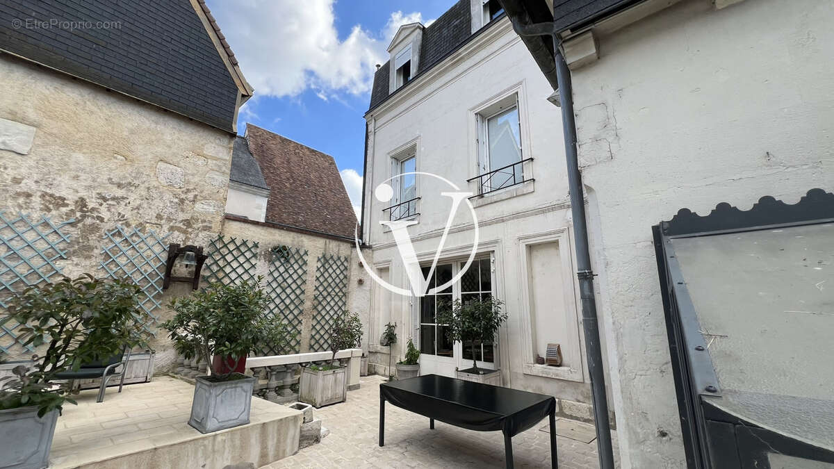Maison 369 m² à Vendome  - photo 11