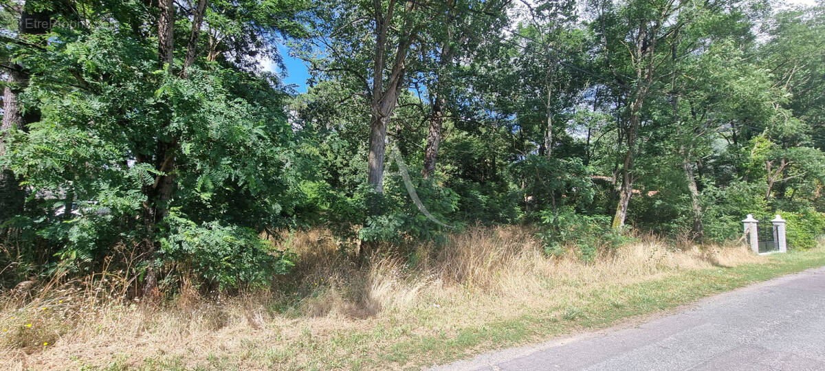 Terrain à SAINT-HILAIRE-DE-RIEZ