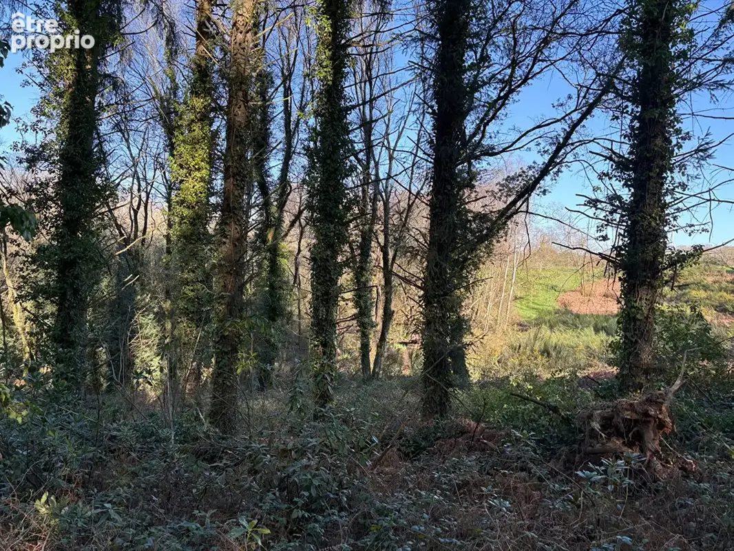 A vendre Bignan propriété d'exception à rénover, chaumière d'environ 260m², terrain d'environ 6 hectares - photo 16