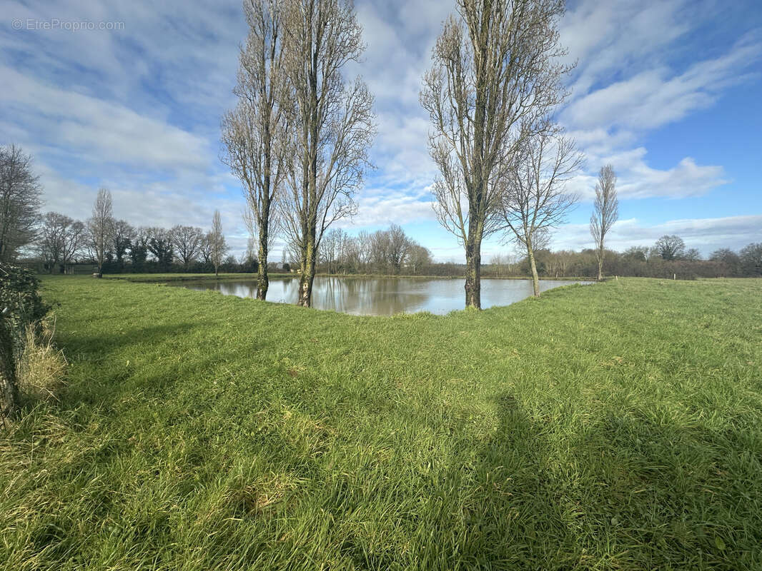 Maison à CHALLAIN-LA-POTHERIE