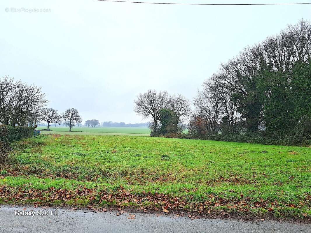 Terrain à CHATEAUBOURG