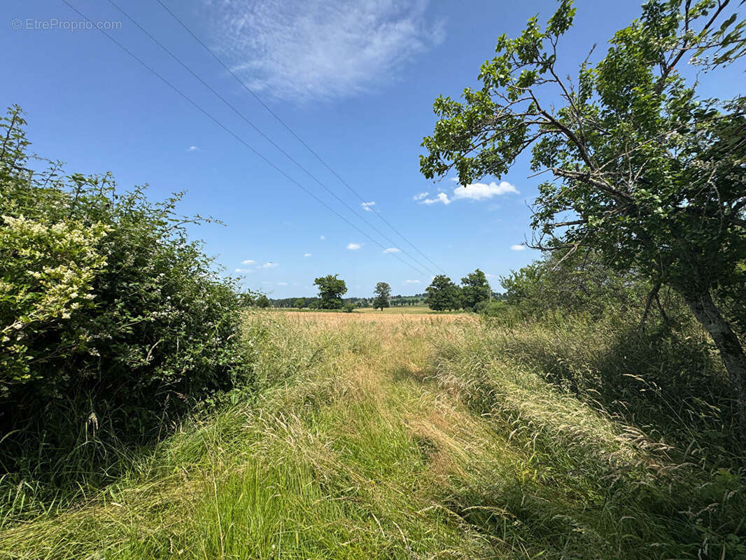 Maison à BOURBON-L'ARCHAMBAULT