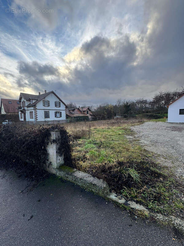 Terrain à NIEDERNAI