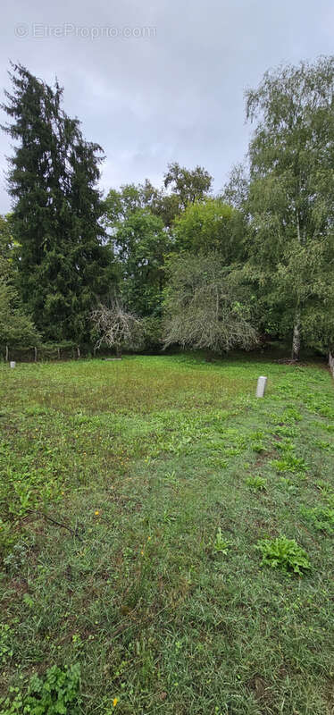 Terrain à BRIVE-LA-GAILLARDE