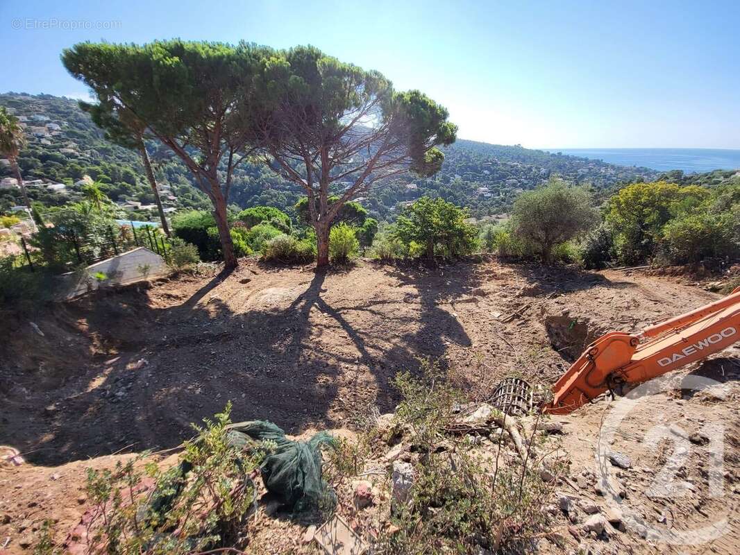 Terrain à ROQUEBRUNE-SUR-ARGENS