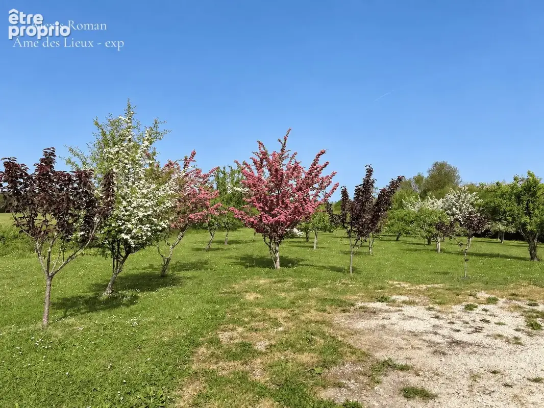 Maison 5 pièces 111 m² à vendre à Villefranche-De-Lonchat (24610) - photo 4