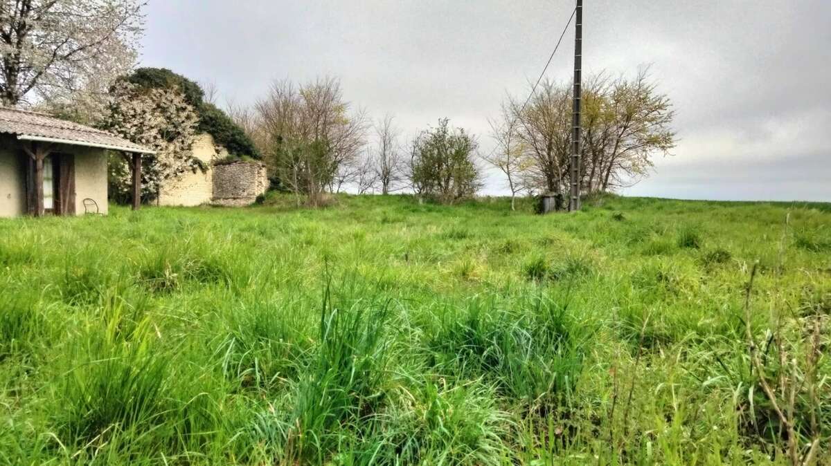 Terrain constructible+maisonnette - photo 4