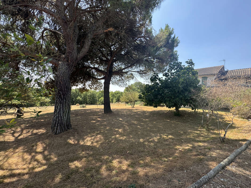 Propriété d'exception 203 m2 & Dépendances de 215 m2 - photo 25