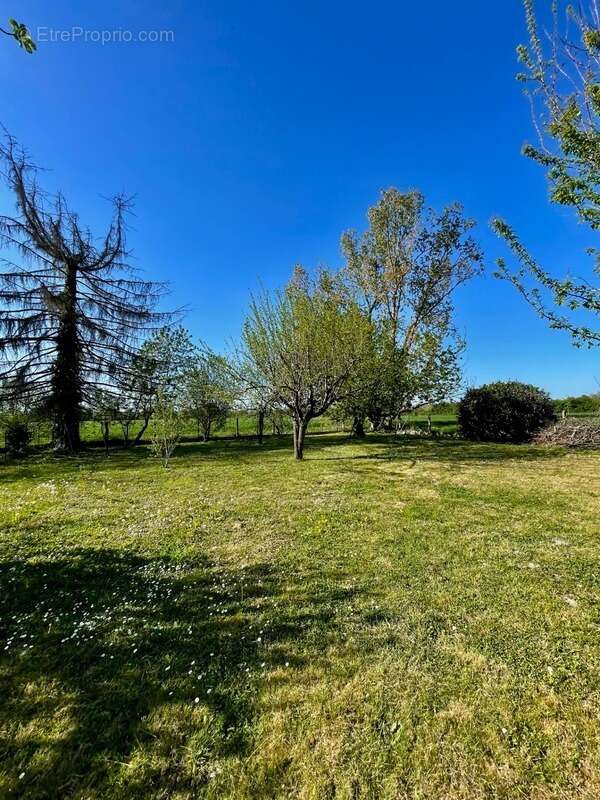 Terrain à MONTAUBAN