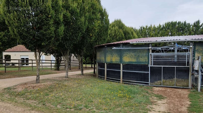 Maison à SAINT-JEAN-D'ANGELY