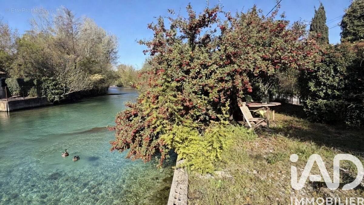 Photo 1 - Maison à L'ISLE-SUR-LA-SORGUE
