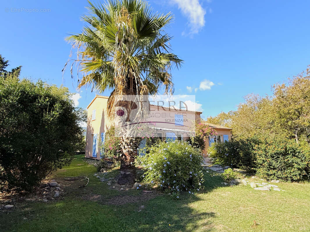 Maison à SOLARO