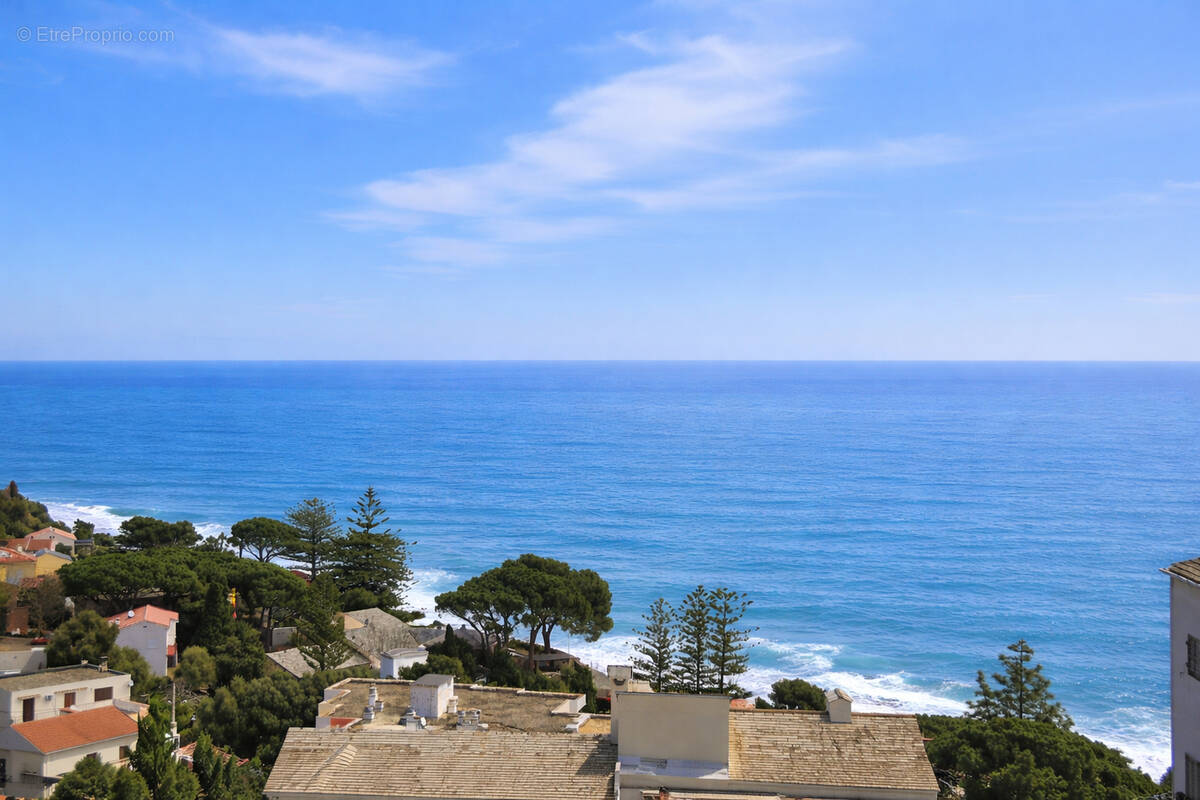 Appartement à SAN-MARTINO-DI-LOTA