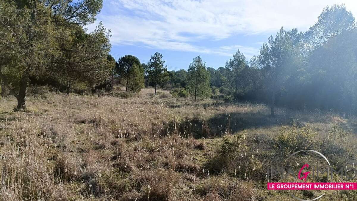 Terrain à MONTARNAUD