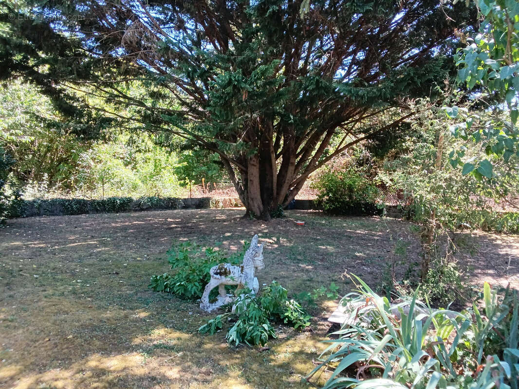 Maison à NERONDES