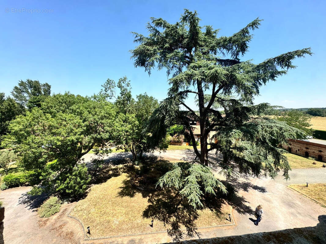 Appartement à MURET