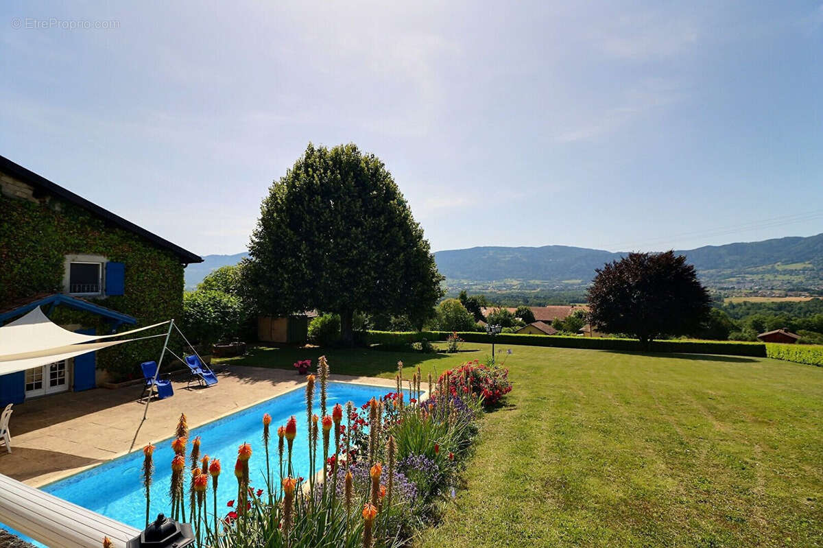Maison 300 m² à Ballaison  - photo 4