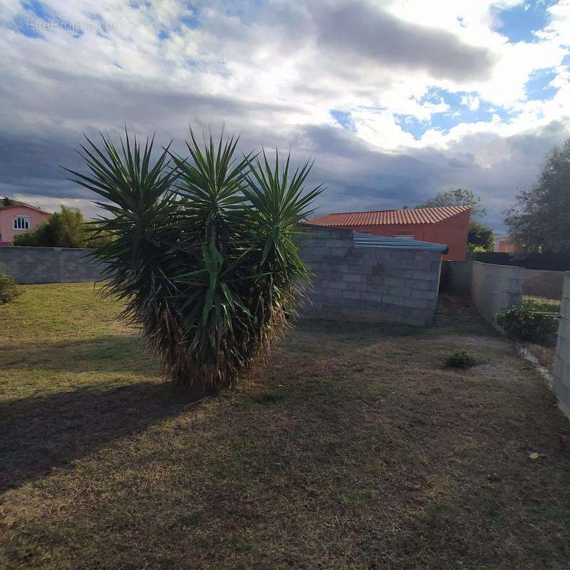 Terrain à LE BOULOU