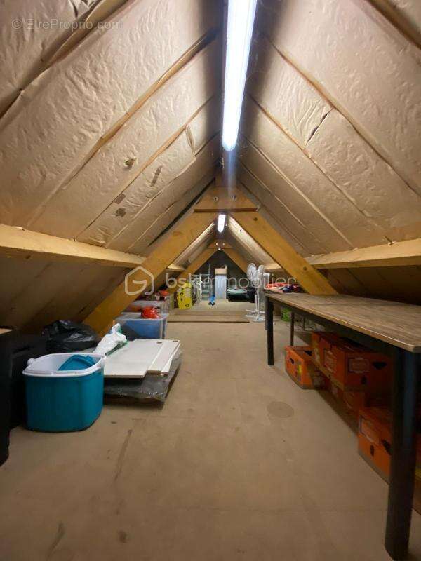 Terrain à BOISSY-LE-CUTTE