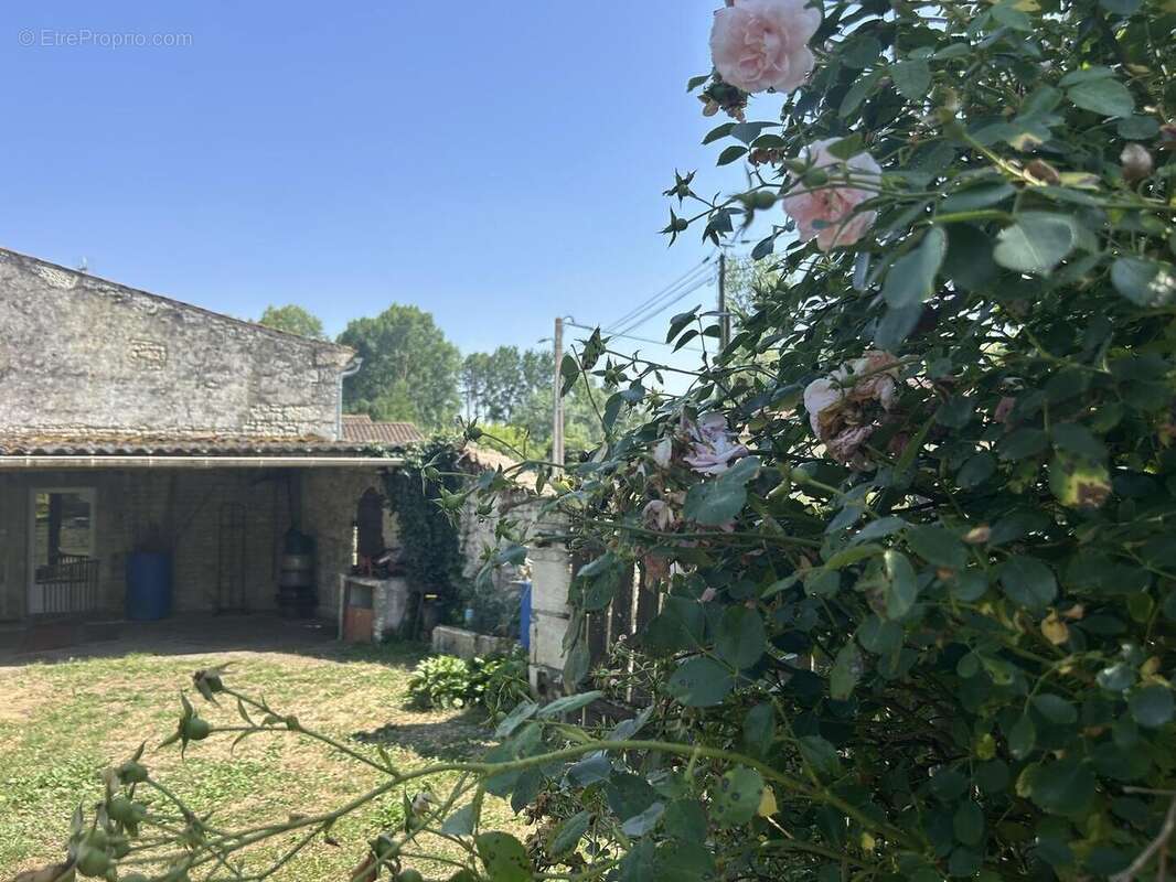 IMG0905 - Maison à NIORT