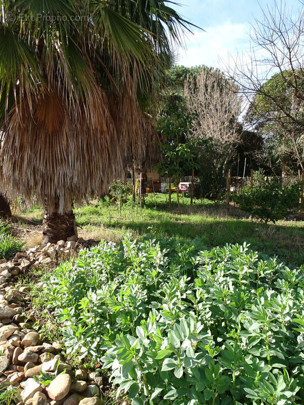 Appartement à HYERES