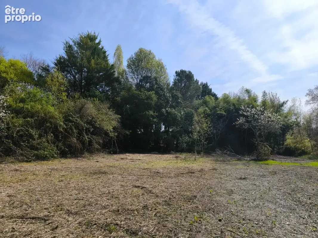 Terrain non constructible bordure Charente à vendre  VARS (16) - photo 8