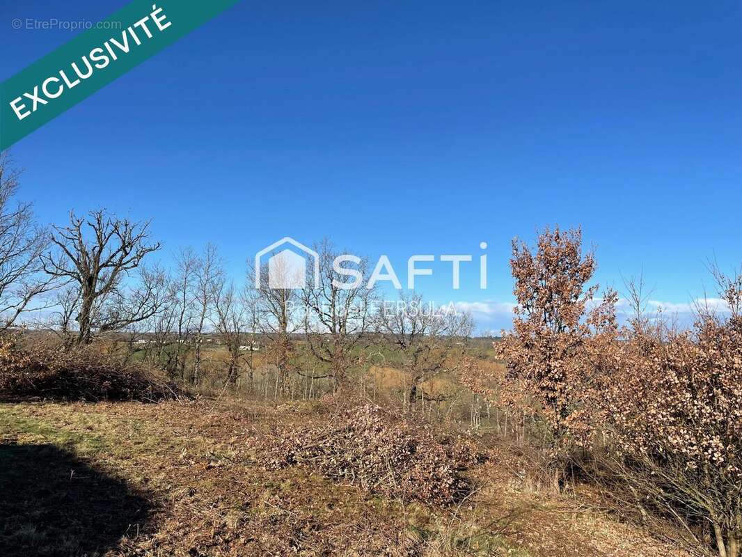 Photo 3 - Terrain à CASTRES