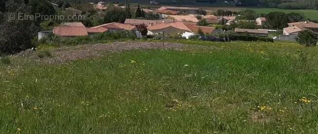 Terrain à POMAS