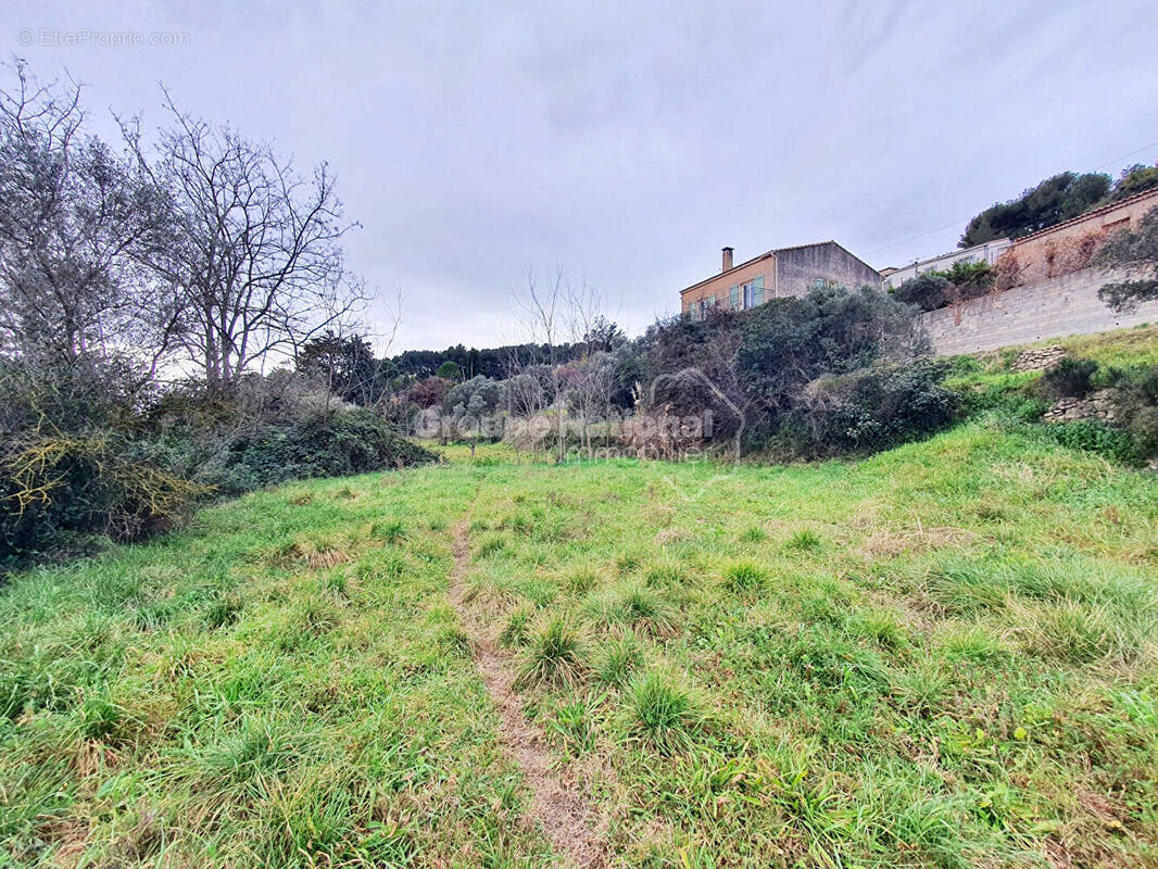 Terrain à SAINT-CHAMAS