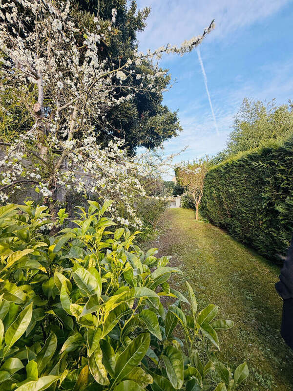 Maison à SAINT-MALO