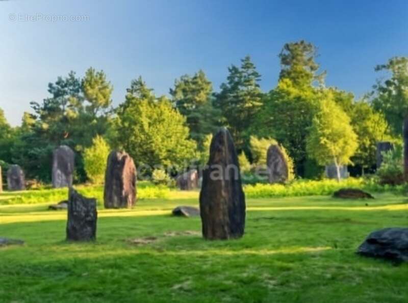 Terrain à MONTENEUF