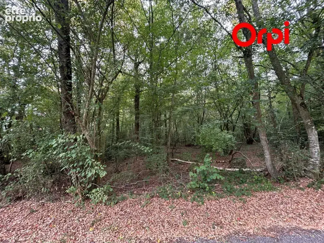 Terrain 7300 m² - photo 4