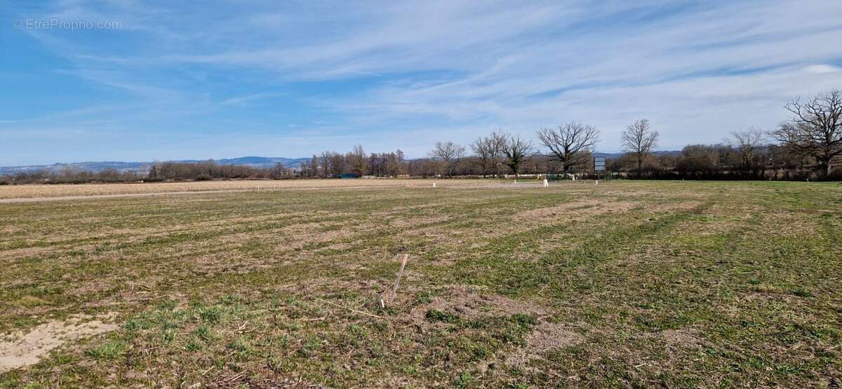 Terrain 788 m² à Chambeon  - photo 5