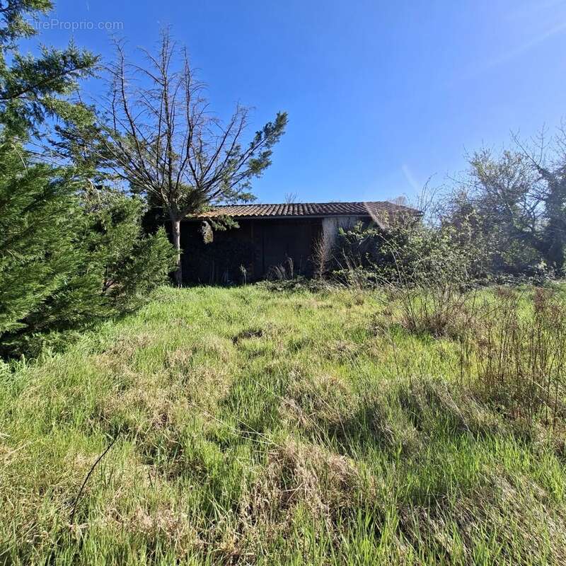 Commerce à MONTDRAGON