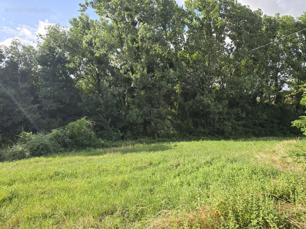 A vendre maison à la campagne - photo 12