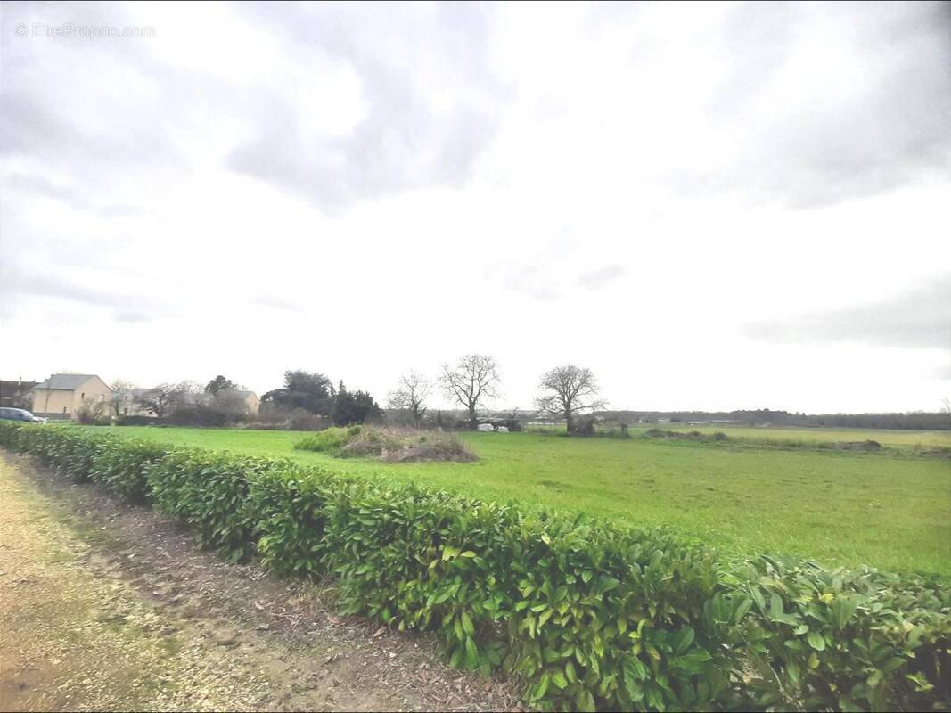 Terrain à LA CELLE-SAINT-AVANT