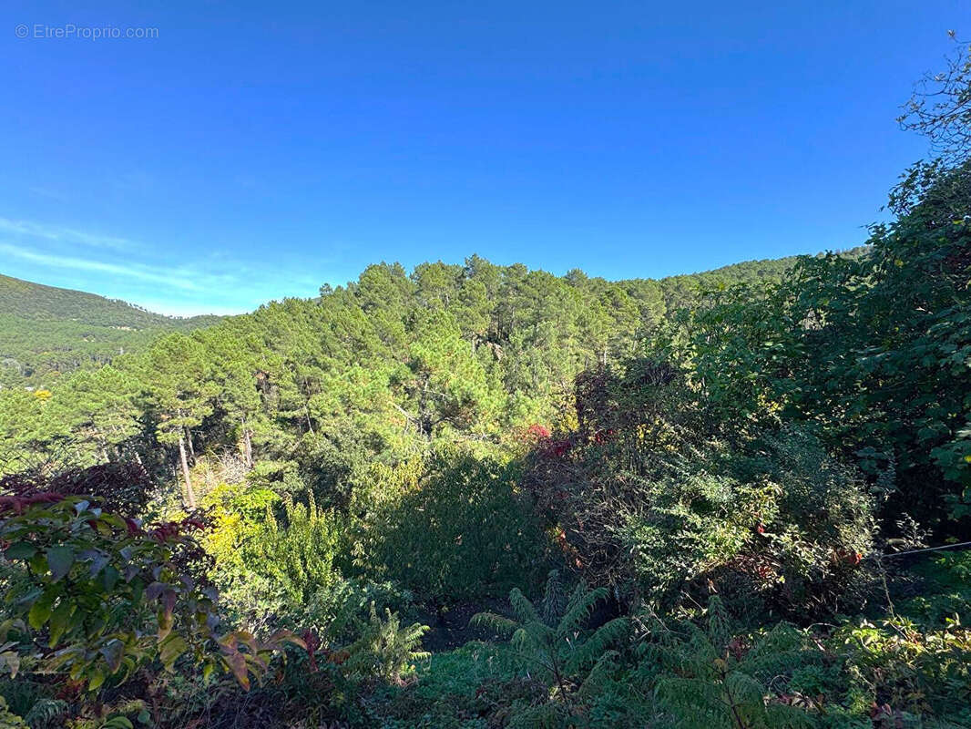 Maison à SAINT-FLORENT-SUR-AUZONNET
