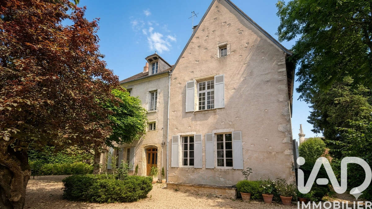 Maison 400 m² à Mehun-Sur-Yevre  - photo 2