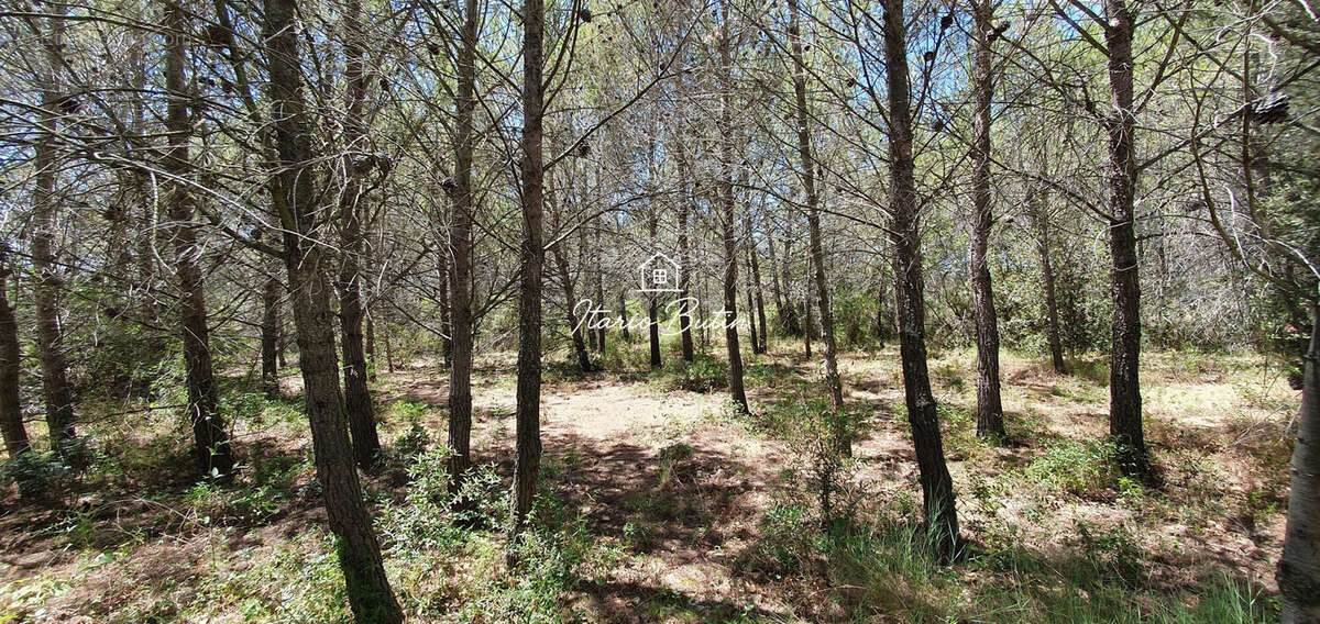 Terrain 7875 m² à Quarante  - photo 8