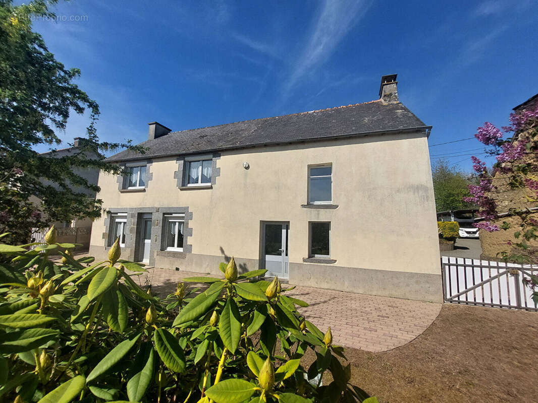 Maison à PLESDER