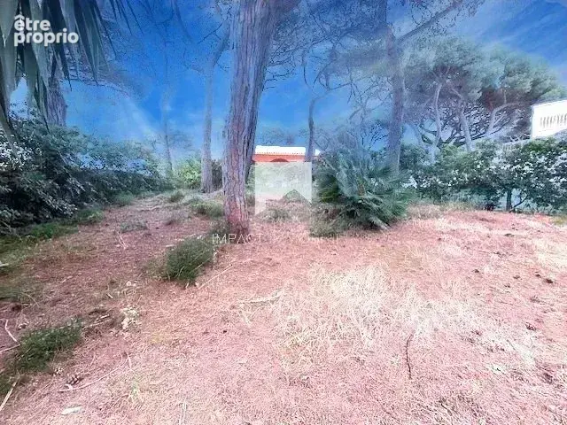 Maison 7 pièces - Port Hyères - photo 13