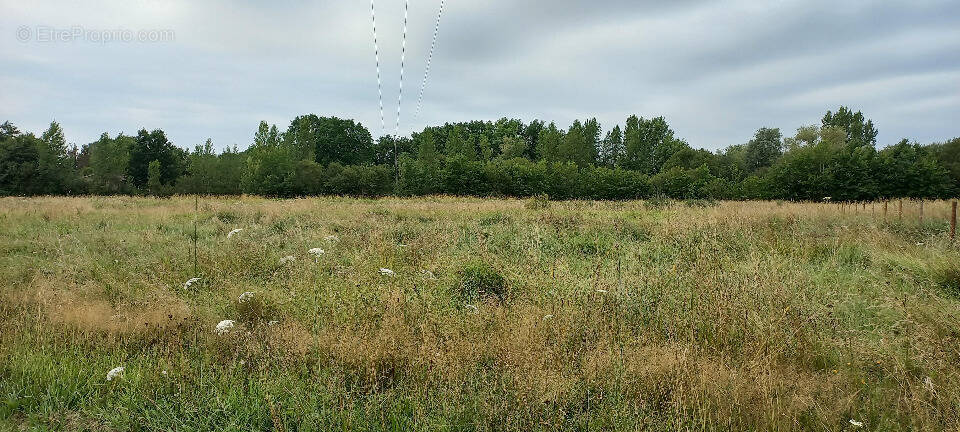 Terrain à MENESPLET
