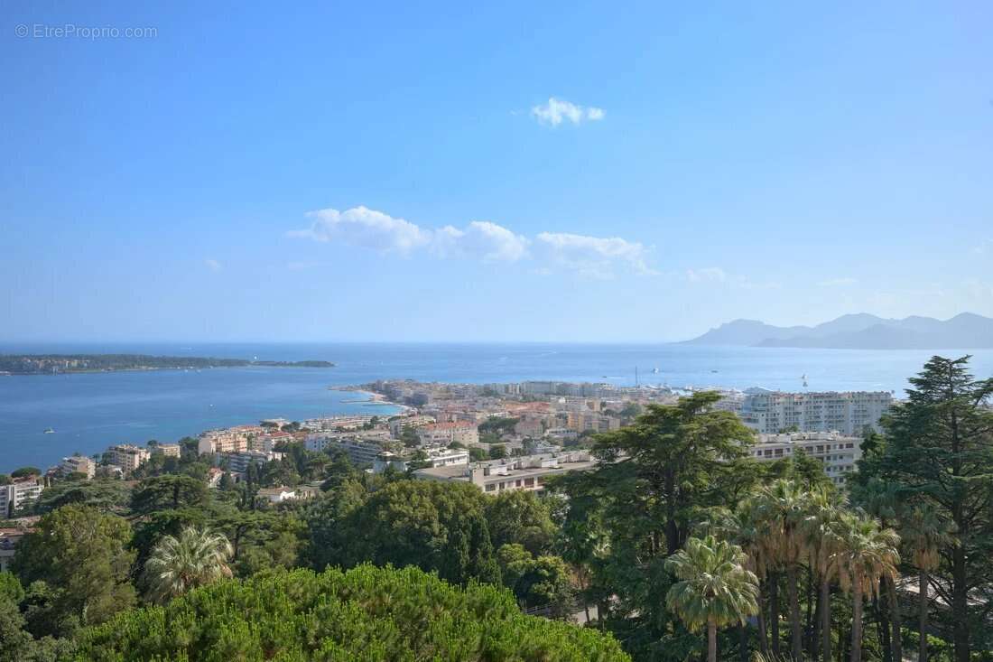 Appartement 4p - cannes californie - grande terrasse - vue mer panoramique - photo 11