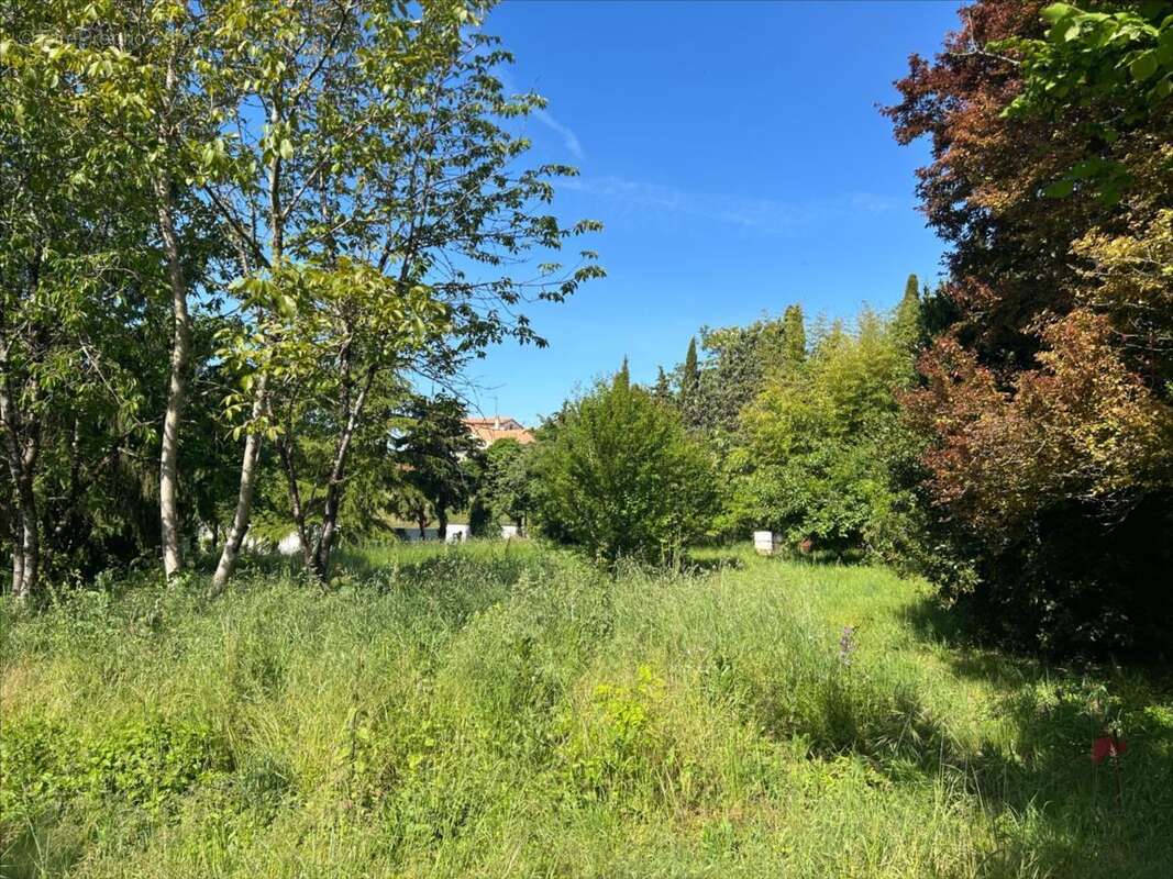 Terrain à MONTAMISE