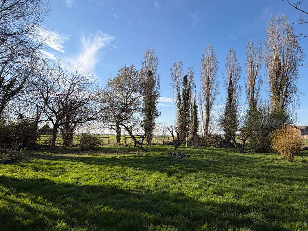 Maison à AMFREVILLE-LA-CAMPAGNE